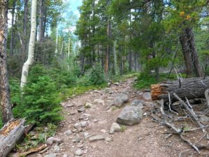 First part of Swift Creek Trail