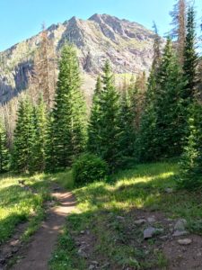 Meadow on Swift Creek Trail