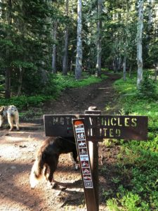North Fork Trail from Trinchera Peak Rd