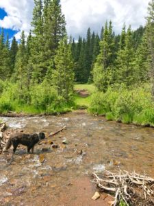 Crossing the North Fork of the Purgatorie