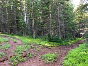 Intersection for the ridge trail