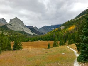 Valley Below Lilly Lake