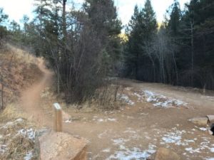 Trail intersection at Gold Camp Road