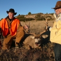 Hunting Mule Deer 5