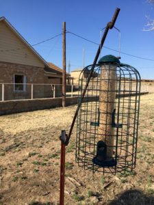 Caged Bird Feeder keeps the Red Wing Black Birds out!