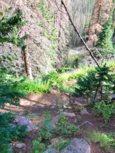 Switchbacks near top of Swift Creek Trail