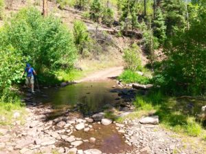 Creek Crossing on 331