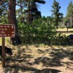 Campsite on Rainbow Trail at N. Brush Trail