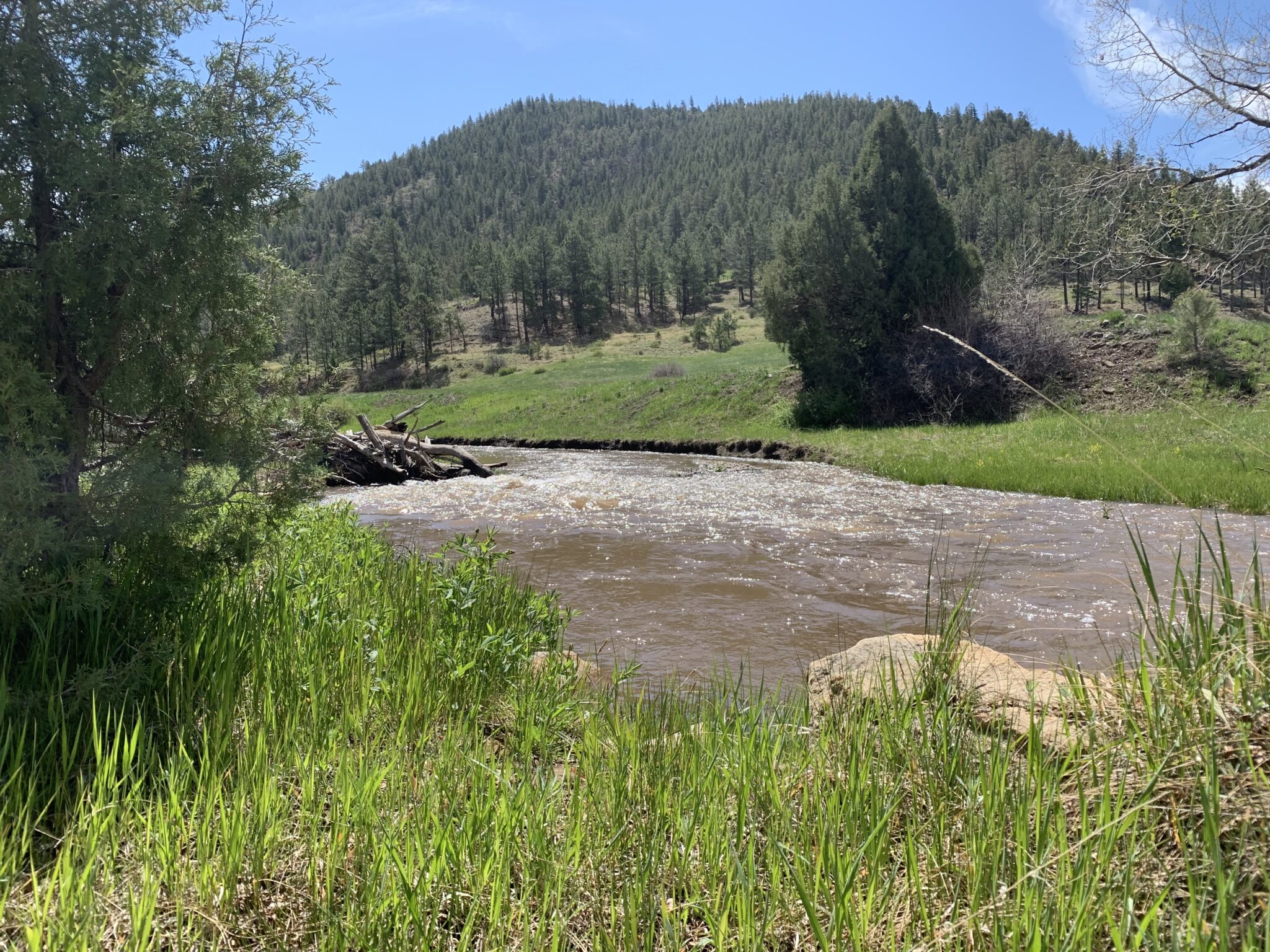 Bosque De Oso; South Fork of the Purgatoire River | Canyon Journeys