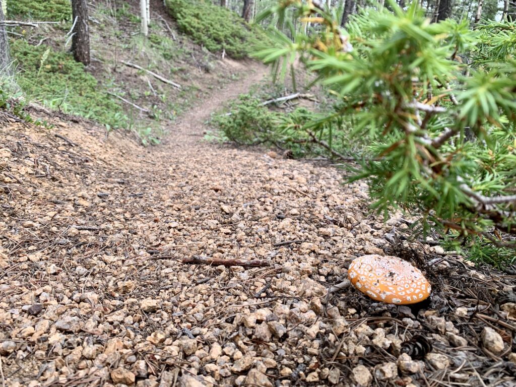 Heizer Trail, Pikes Peak