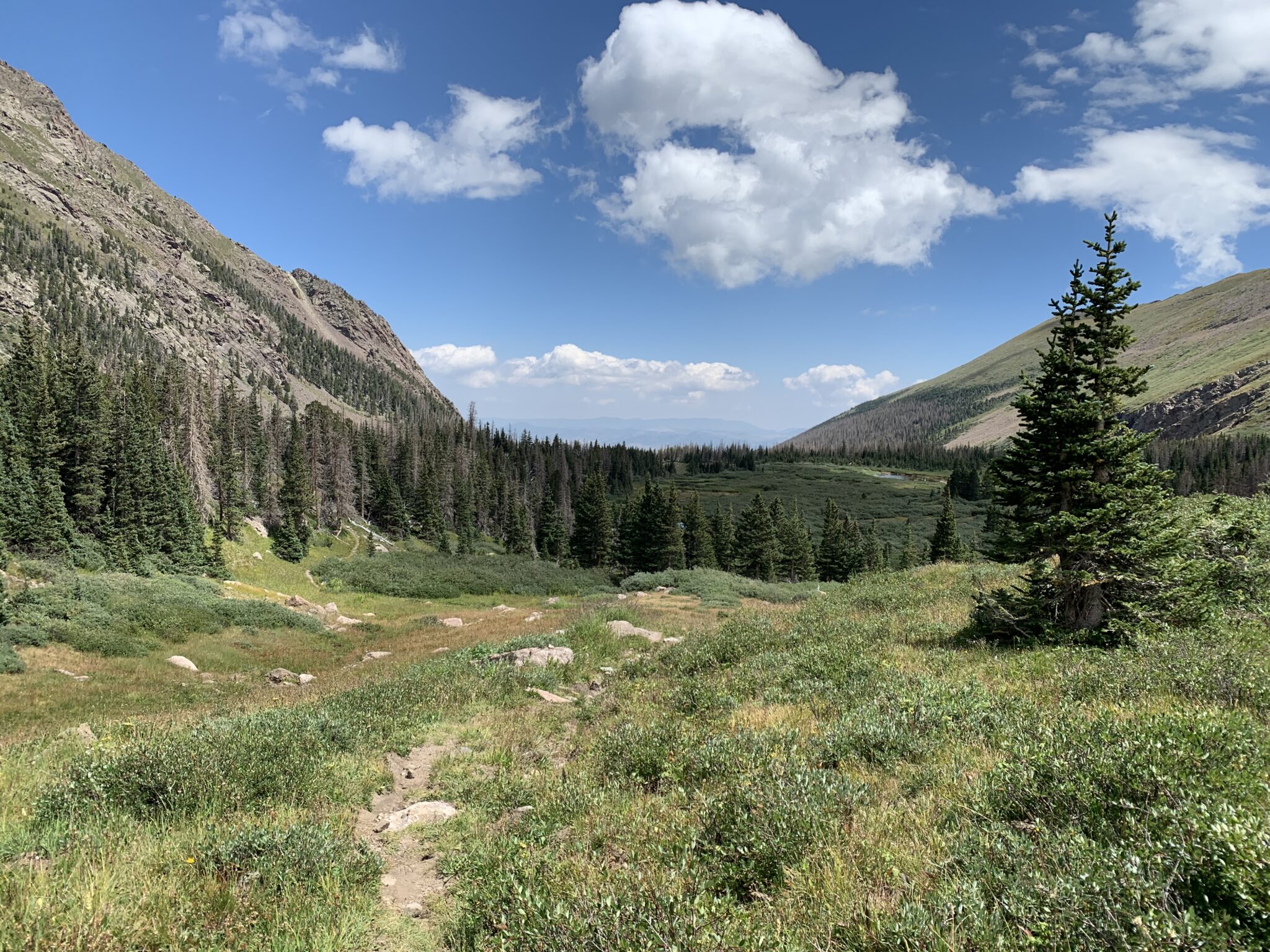 Horn Creek Trail; Westcliffe, CO | Canyon Journeys